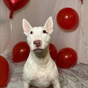 Meet your Posher, Kristy